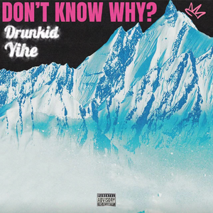 视频版下载免费黄网
