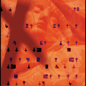 视频版下载免费黄网
