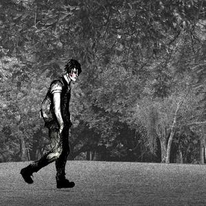 视频版下载免费黄网
