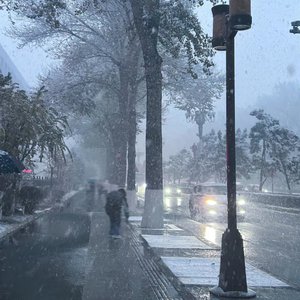 视频版下载免费黄网
