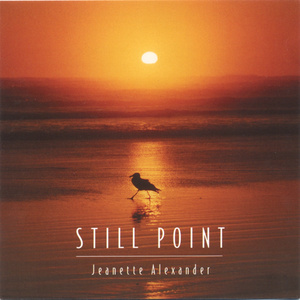 视频版下载免费黄网
